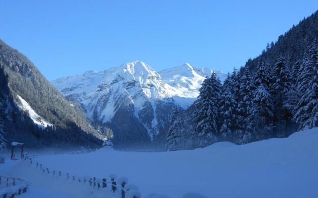 Apartment Gastein