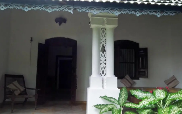 The Jungle House
