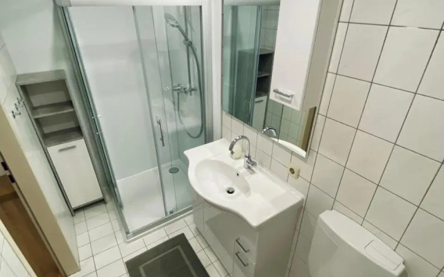 Apartment Loser im Zentrum