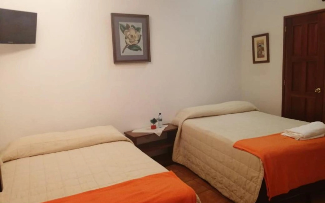 Casa Buho B&B