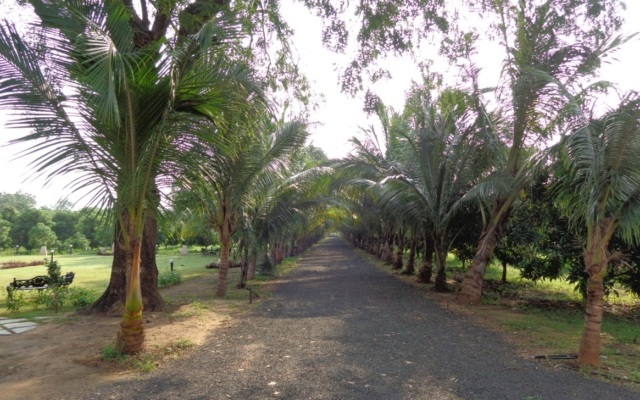 Champaner Heritage Resort