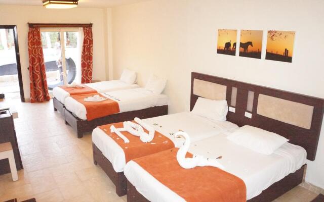 El Hayat Sharm Hotel