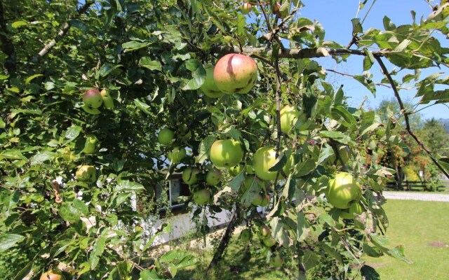 Spacious Holiday Home in Sankt Johann near Ski Area