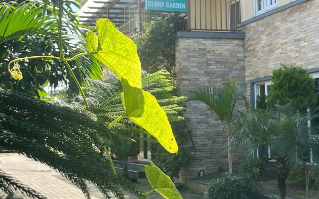 Hotel Glory Garden