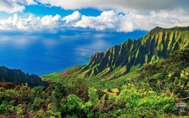 Regency at Poipu Kai #721