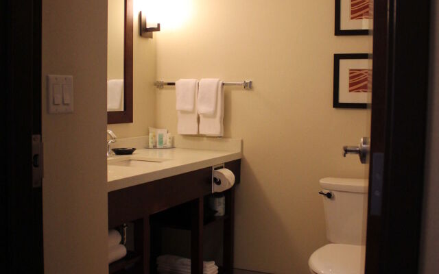 Comfort Inn & Suites Edmonton International Airport