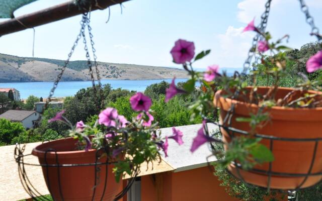 Bela - sea view - SA3(2)