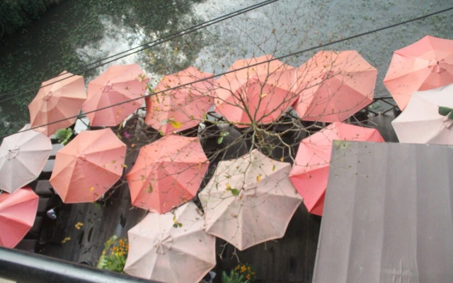 Thien Thanh Boutique Hotel