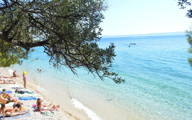 Apartment Room with a view