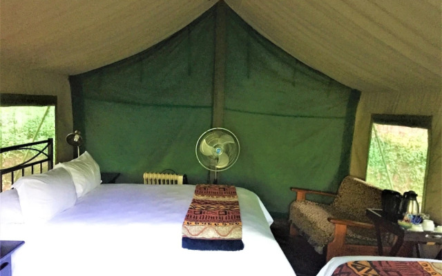 Phophonyane Falls Ecolodge