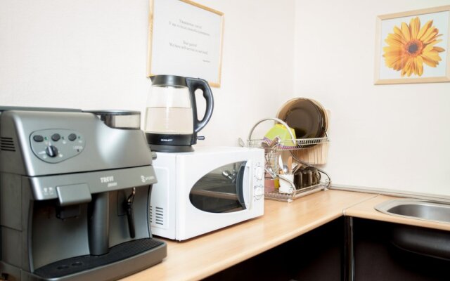 Otel' "Pushkinskaya 11"