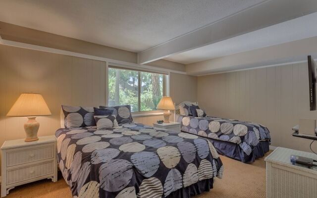 Surf Scoter 12 by RedAwning