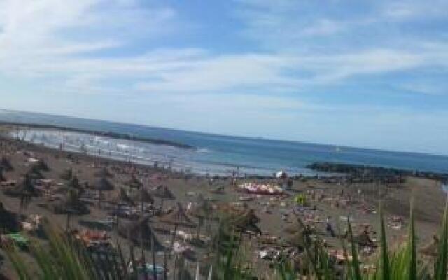 Dream View