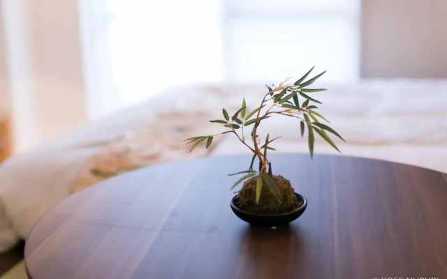 ORIGAMINN 303 & 5 mins PeacePark