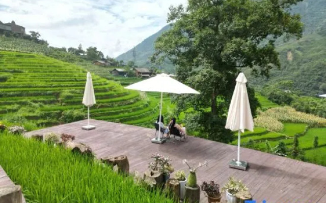 MT House SaPa