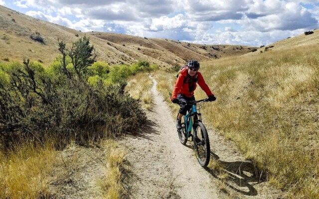 The Brandy Alexander