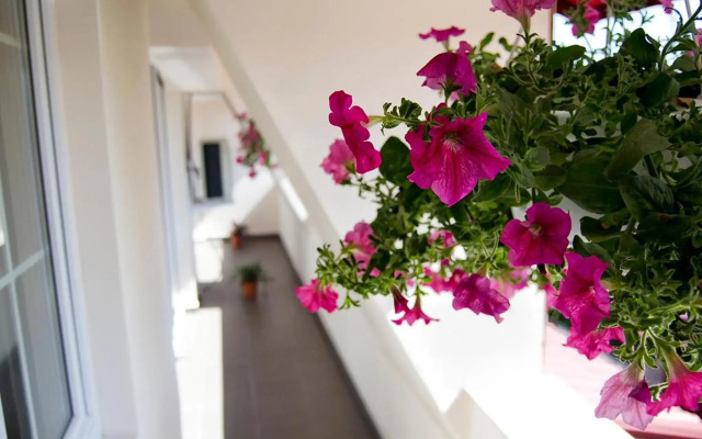 Tranzzit Hotel