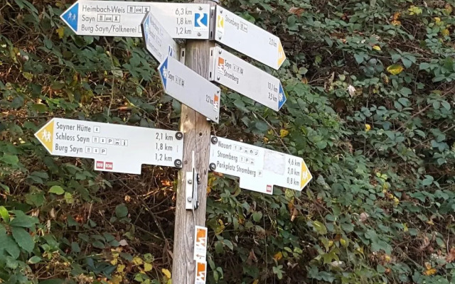 Rhein Pearl am Rheinsteig