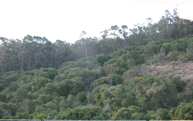 Departamento Costa Puyai II 751