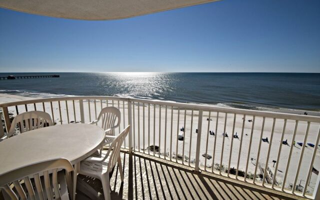 Royal Palms 801 by RedAwning