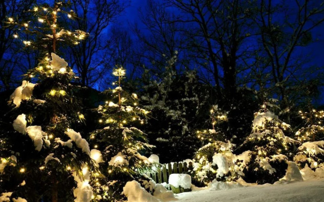 Park Hotel Il Poggio