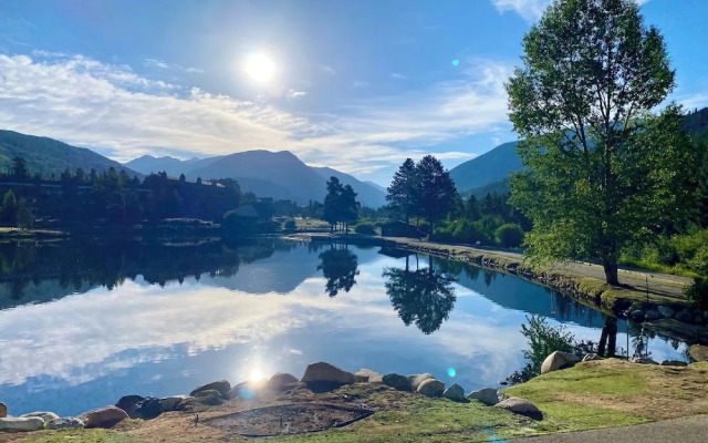 Argentine Court 1516