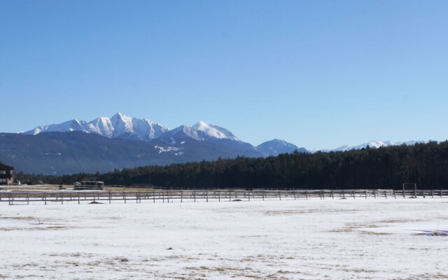 Mitzi Affenhausen in Affenhausen