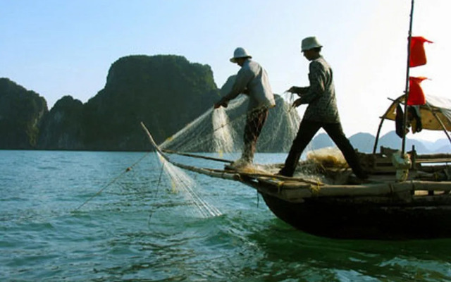 Halong Victory Cruise