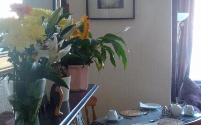 Harlequin Guest House