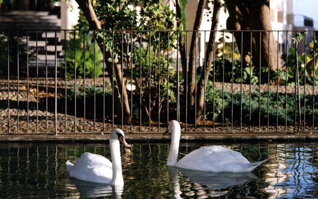 Quinta Das Vistas Palace Gardens