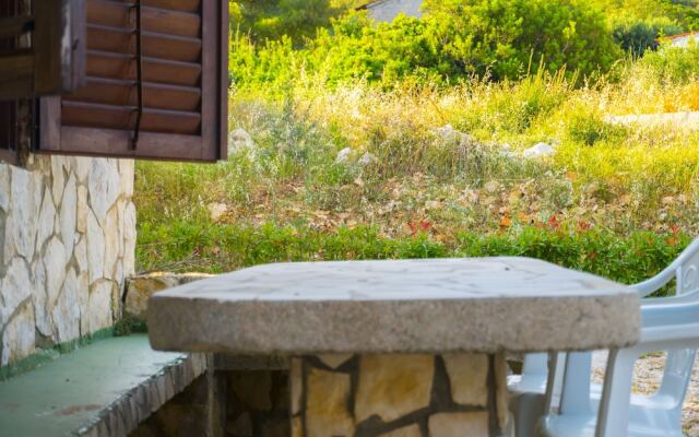 Victorious VIScovery Green