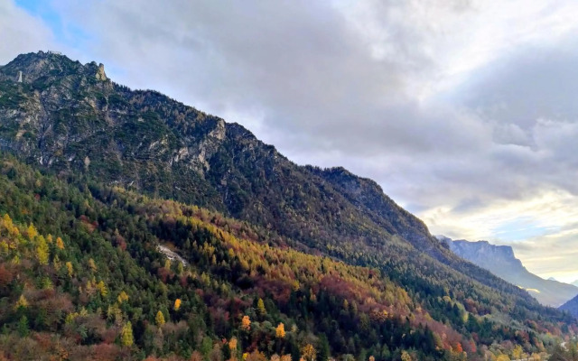 Predigtstuhlblick Apartment - Terrasse - Pool - Panorama