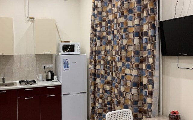 Apartment in Center