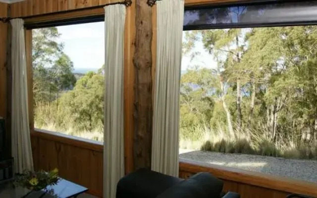 Bed in the Treetops Bed & Breakfast