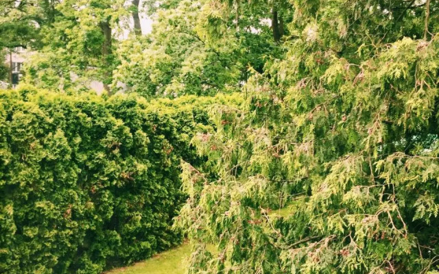 Guest House Villa Arkadia