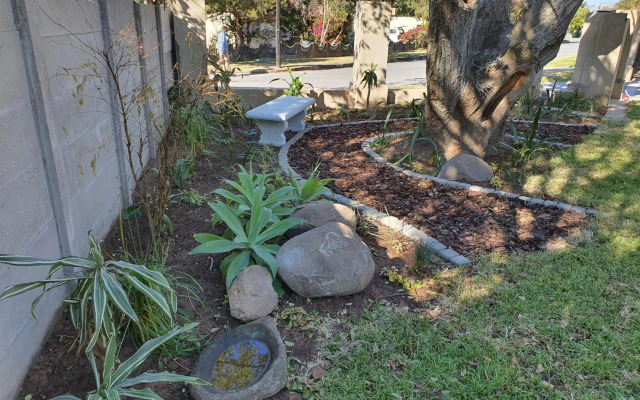 Coral Tree Boutique Guesthouse