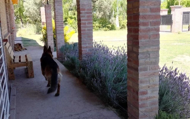 Descanso Cordillerano