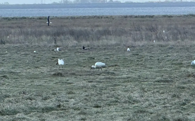Apartments Fröhling