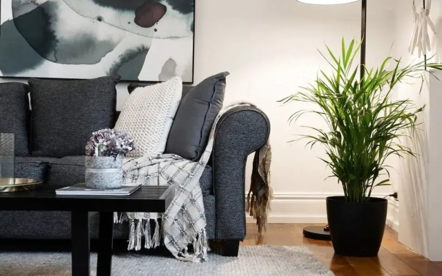 Perfect Laneway Terrace Surry Hills