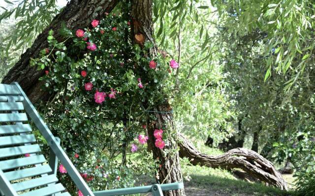 Palazzina del Chiasso B&B