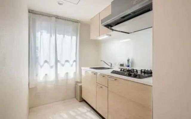 NOZOMIO PREMIER Meidaimae