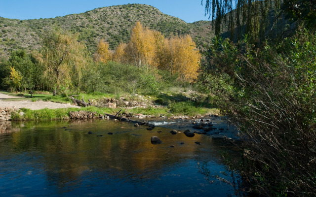 Old Mill Lodge, Working Ostrich Farm & Restaurant, Oudtshoorn