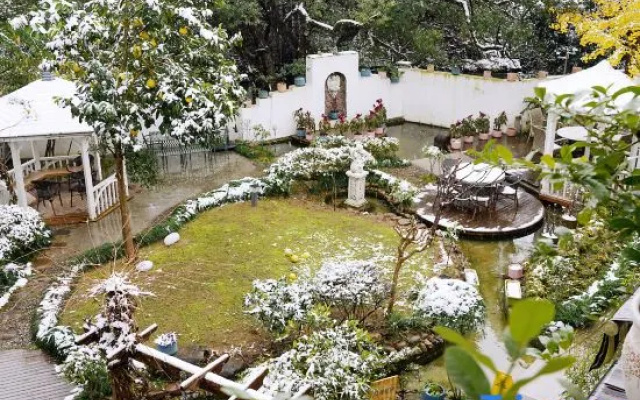 Longjing Xinqing Inn (West Lake Garden)