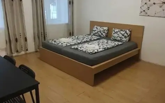 Group Stay 3 Apts Near Enkplatz