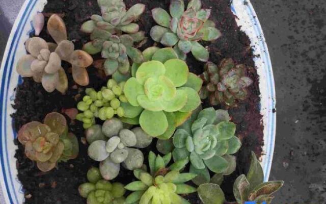 Yueqing Yandang Banshufang Inn