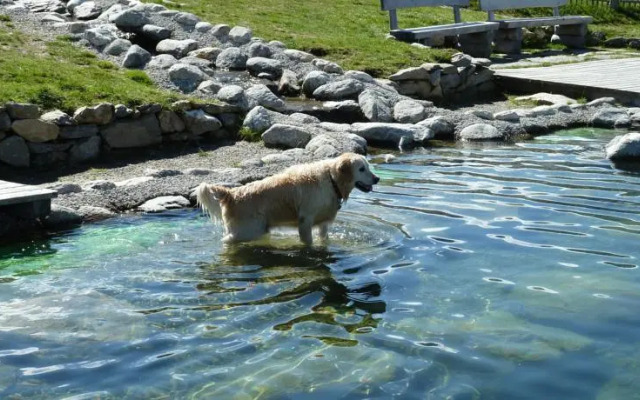 Appartements Wasserfälle