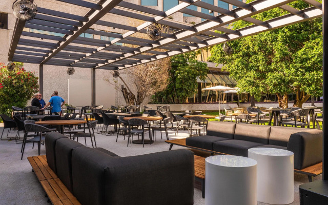 MS Milenium Monterrey, Curio Collection by Hilton