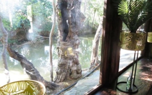 Bushmans Rock Country Lodge