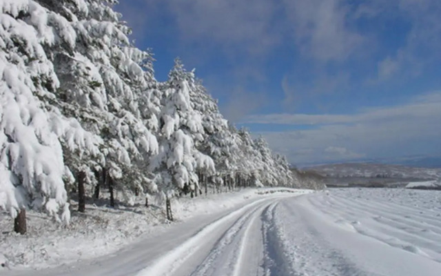 Quinta Dos Castanheiros - Turismo Rural
