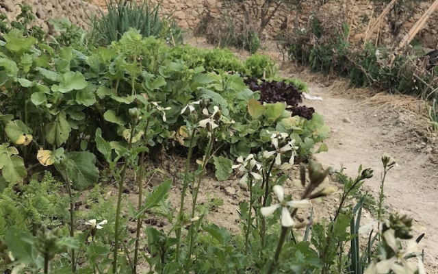 Dar il-Hena Organic B&B